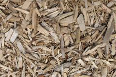 biomass boilers Tirabad